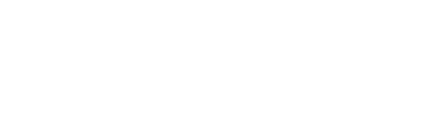 Logo-Dummy-5.png